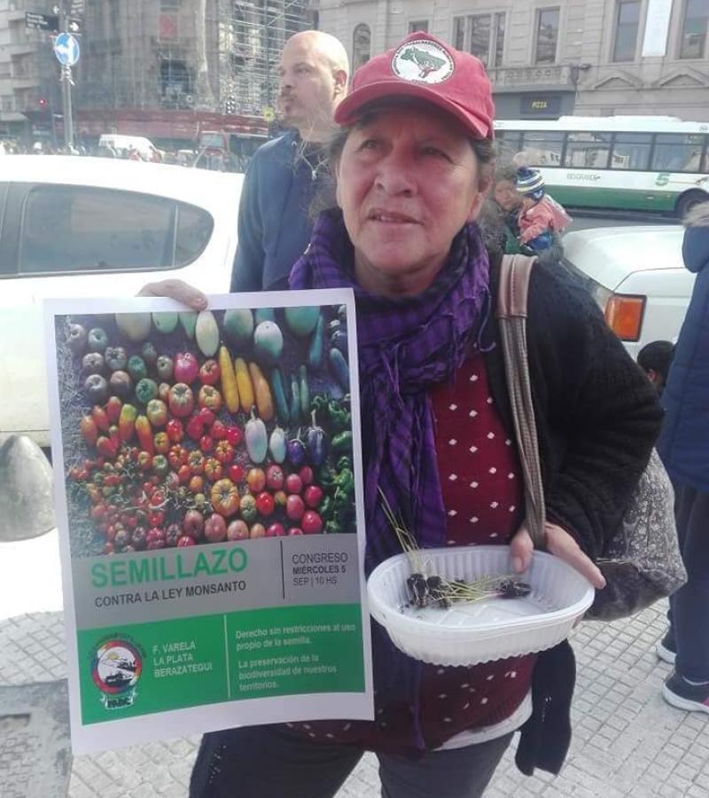 semillas campesinas indigenas patrimonio de los pueblos