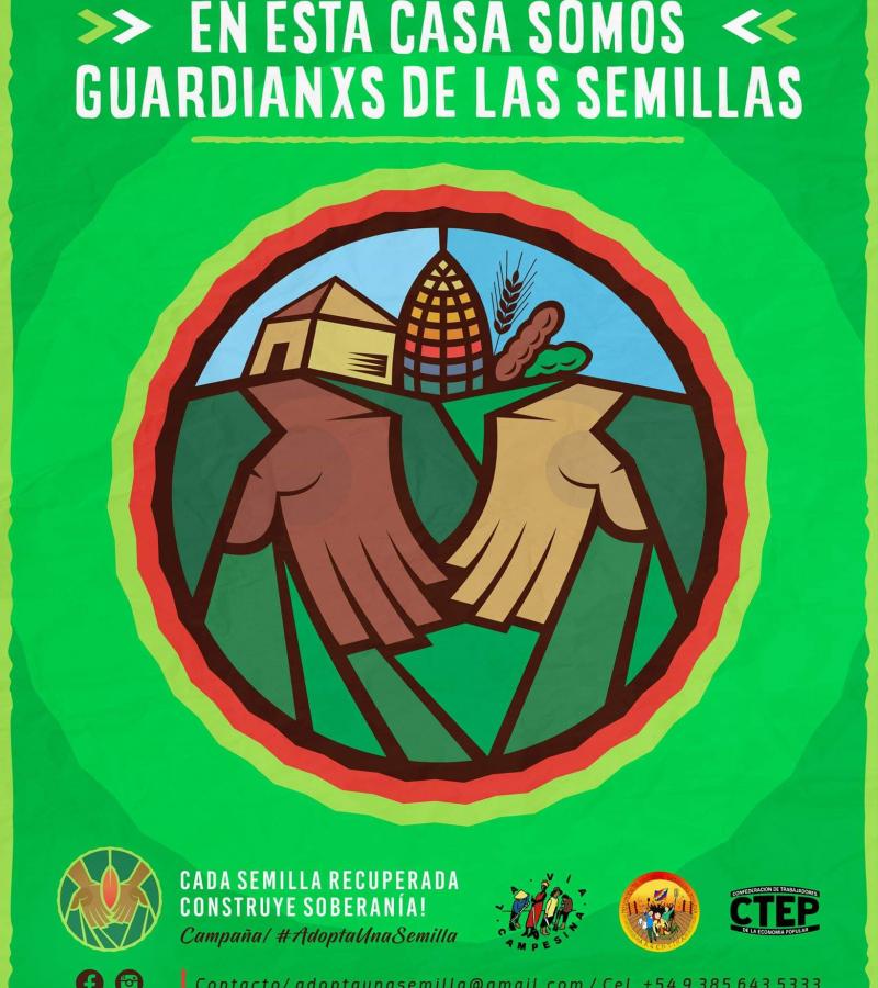 multipliquemos semillas campaña de semilla