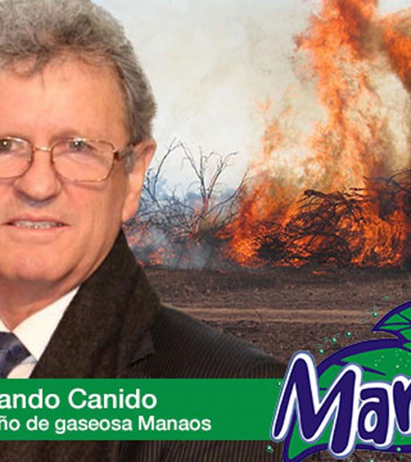 manaos mata desaloja manaos mata
