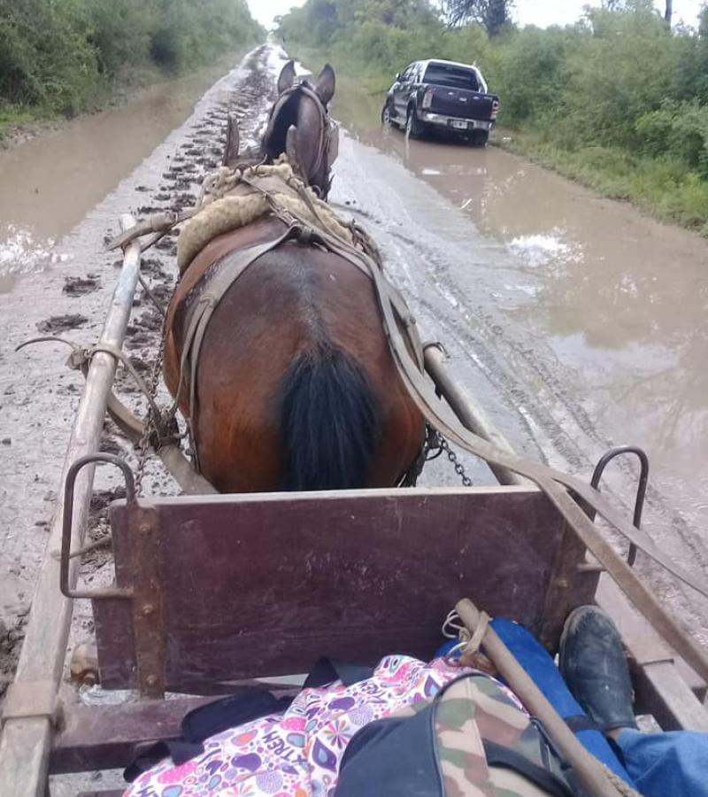 sulki luego de la tormenta el sulki