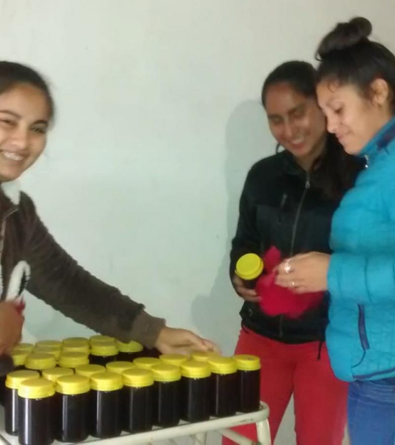 apicultura agro etiquetando miel