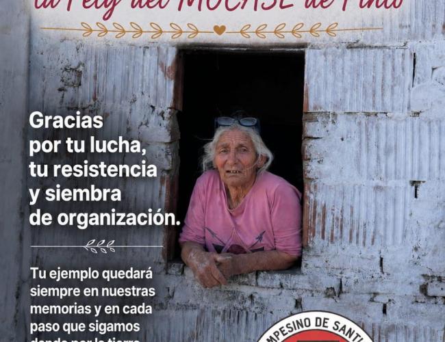 mocase pinto compañera