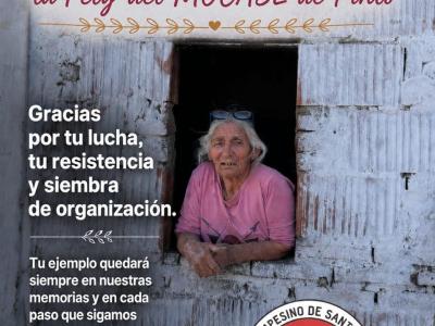 compañera