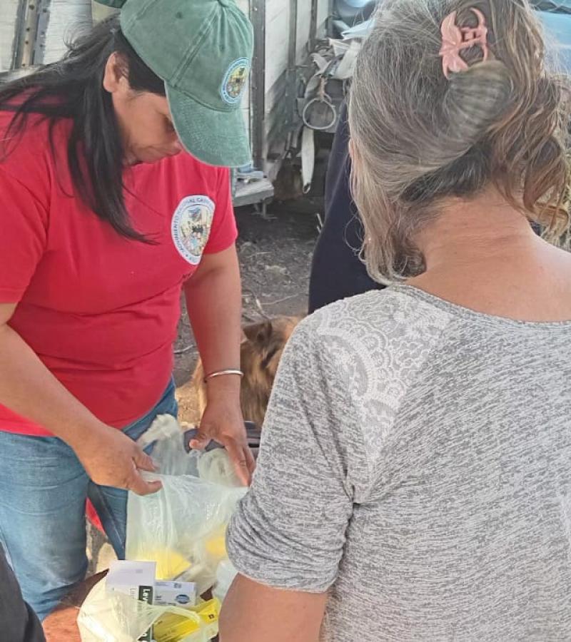 inundaciones